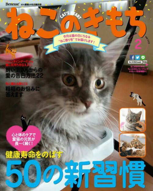 雑誌シリーズ📚