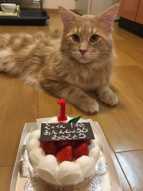 お誕生日おめでとう🎂