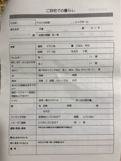 災害時のペット同行避難