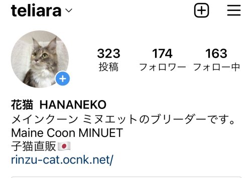 実はインスタもやっている