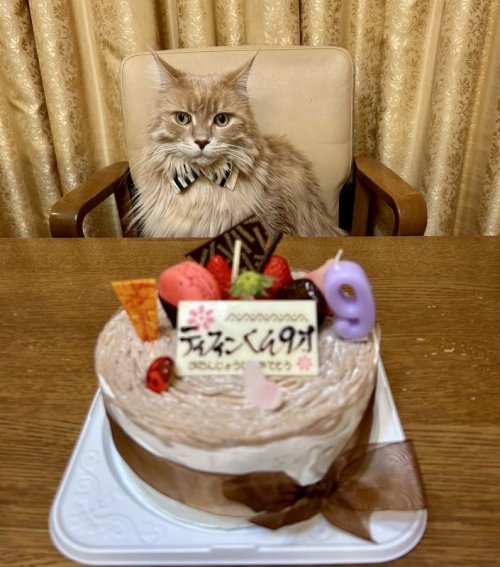 9歳🎂