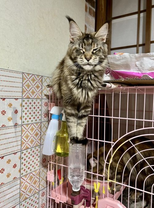 振り向いたらオペラ😳