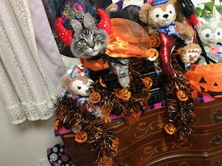 ハロウィン便り🎃