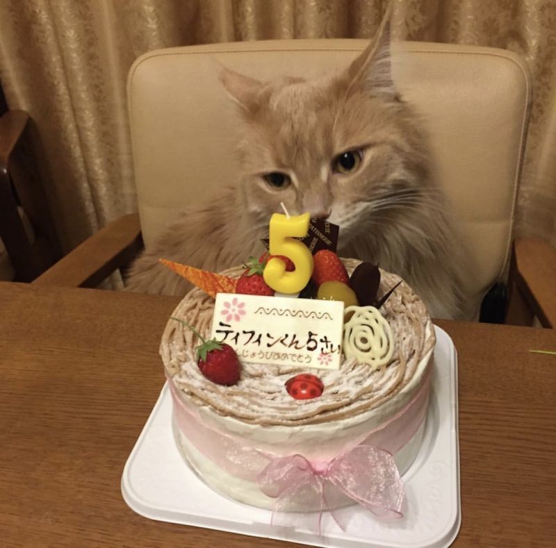 お誕生日おめでとう🎂